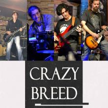 Crazy Breed